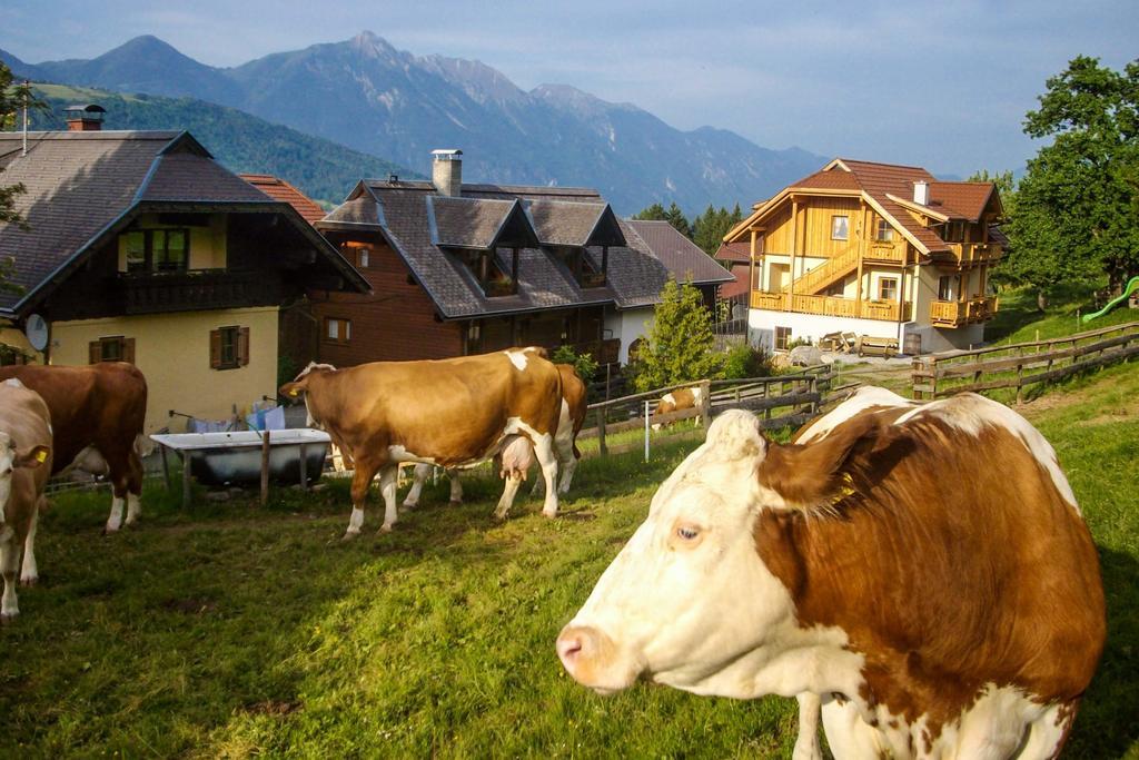 Schoenauerhof Schlanitzen Luaran gambar